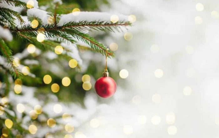 Happy Holidays to All Our Subscribers from Auriga!