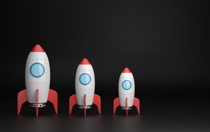 Big or Small? Provider Size in Custom Software Development