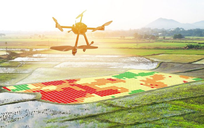 How Drones and Machine Learning Help Farmers