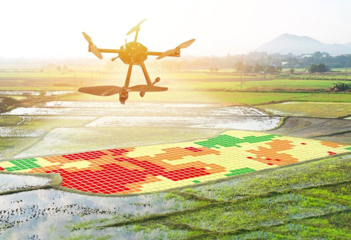 How Drones and Machine Learning Help Farmers