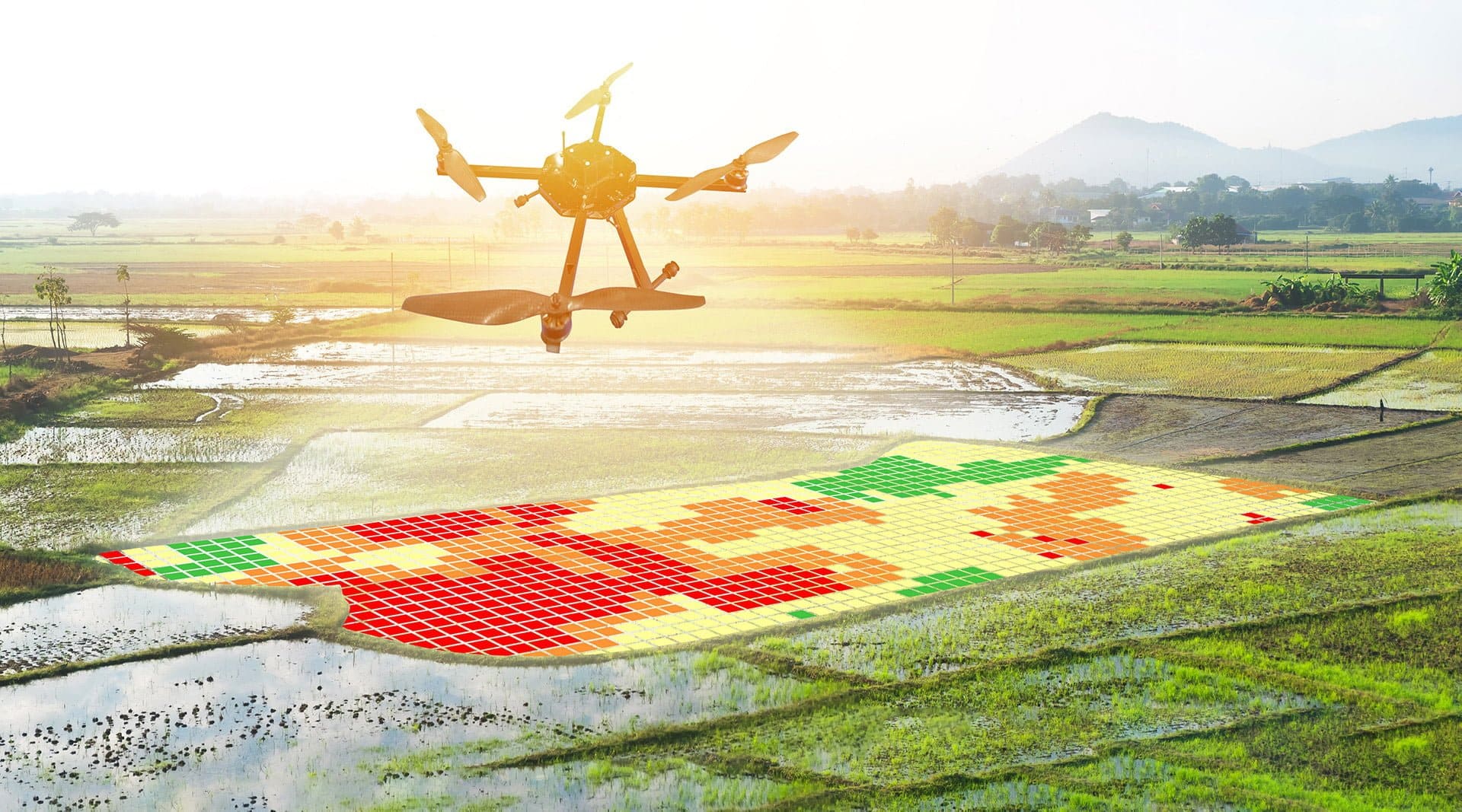 synder Kærlig Mindful How Drones and Machine Learning Help Farmers - Auriga. Outsourcing Software  Development.