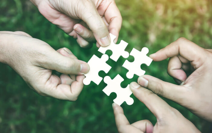 Aligning Stakeholder Goals in Custom Software